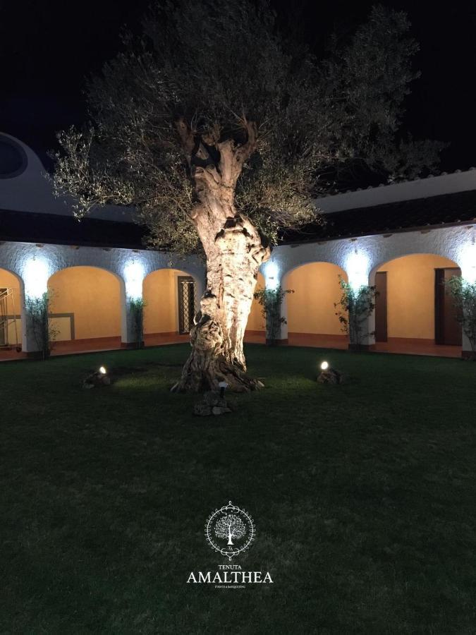 Tenuta Amalthea Villa Sessa Aurunca Exterior foto